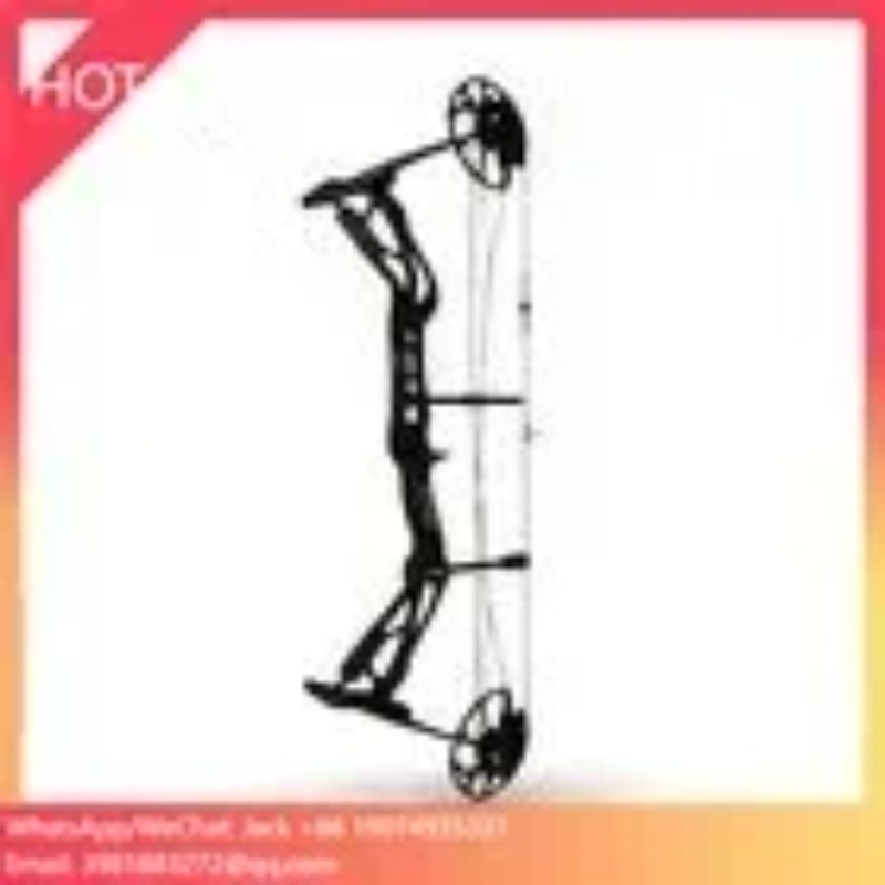 Accmos tiro com arco dragão x8 - Outdoor Sport Drawing avaliação e preço